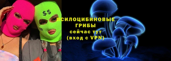 дживик Абинск