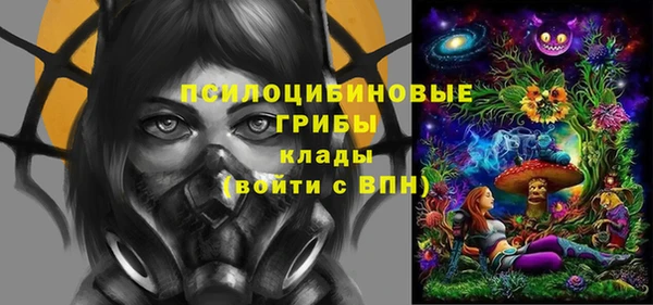 соль ск Абдулино