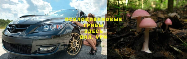 дживик Абинск