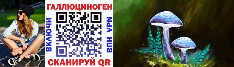 Галлюциногенные грибы прущие грибы  Струнино 